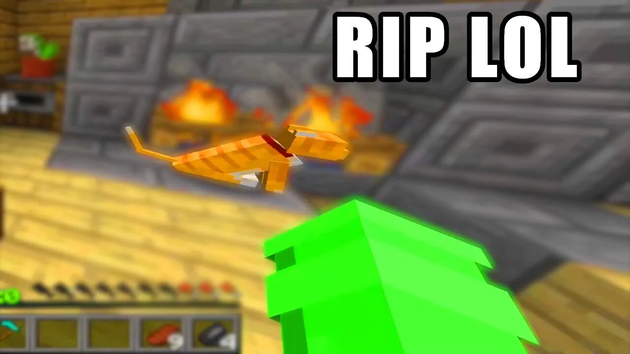 "khrish, you just burned the sh!t out my cat" - Minecraft