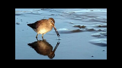 Yardism Live 5-16-22