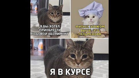 https://vm.tiktok.com/ZMYSRnqwG/