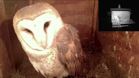 Mel arrived at 4 am. The camera blinked and there was beautiful Syd. Is she glowing? 4-8-21