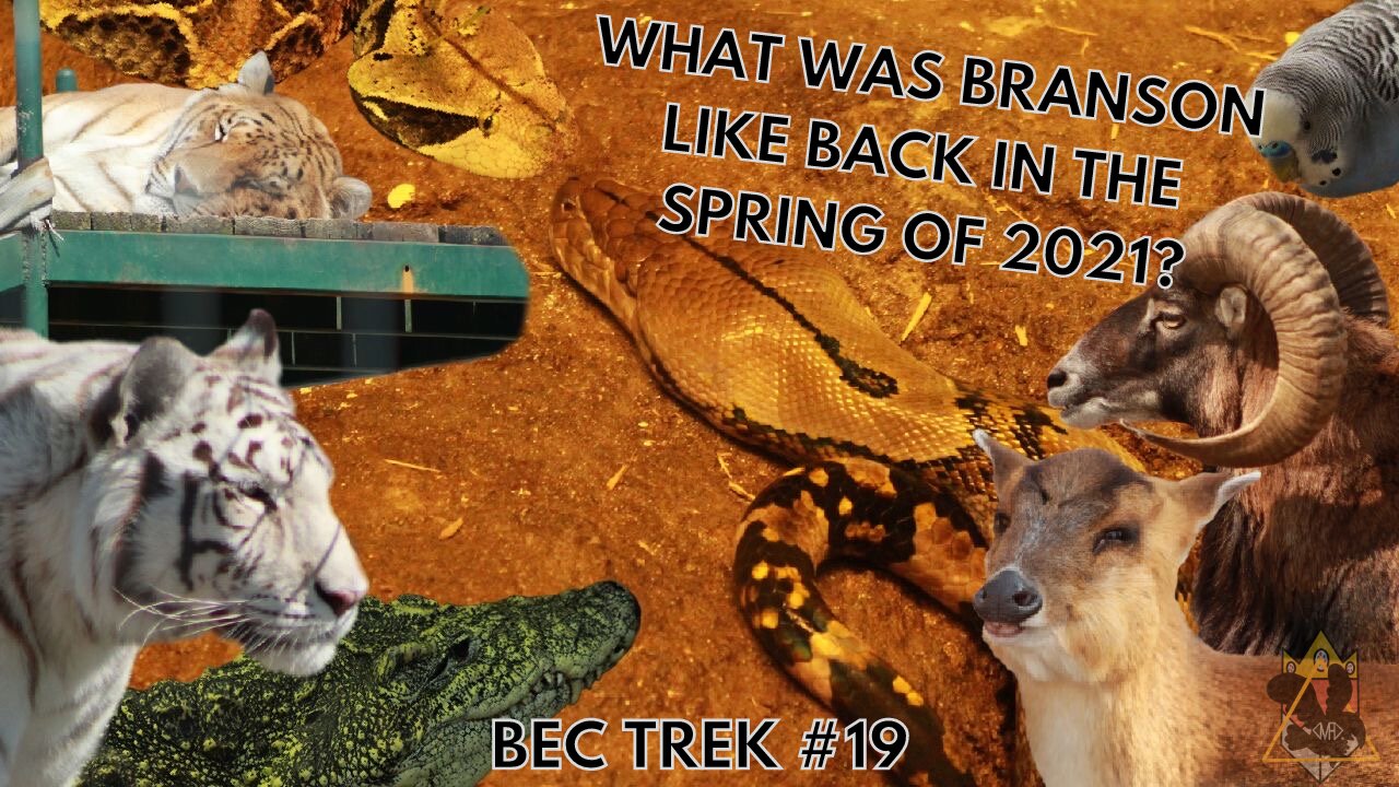 A 3-IN-1 | Turpentine Creek, Promised Land Zoo, and Wild World! | BEC TREK Episode 19