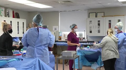 Nursing school applications on the rise across WNY