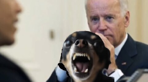 M.A.G.A. Funny video