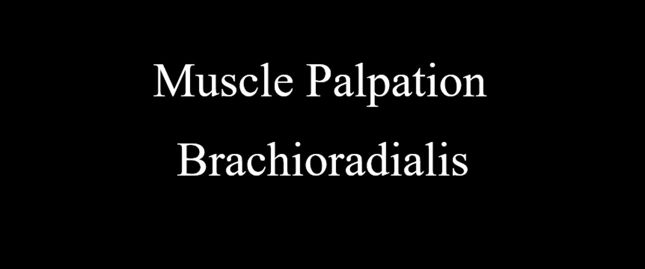 Muscle Palpation - Brachioradialis