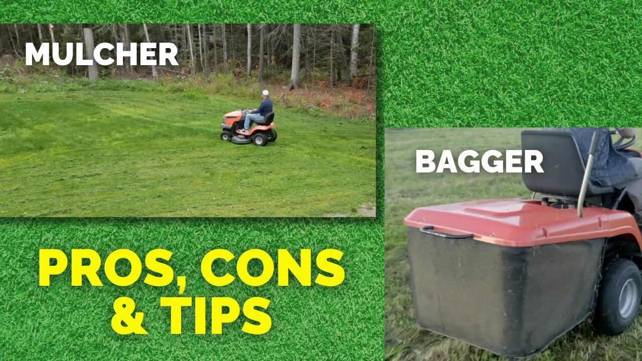 PERSONAL LAWN CARE | ARE YOU A MULCHER, A BAGGER, OR THE OTHER?!?