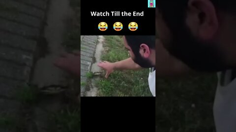 Crab vs Idiot | Funny Interaction with Mr. Crab | Subscribe for More! #shorts