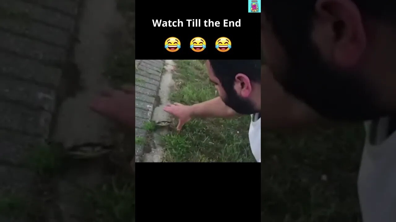 Crab vs Idiot | Funny Interaction with Mr. Crab | Subscribe for More! #shorts