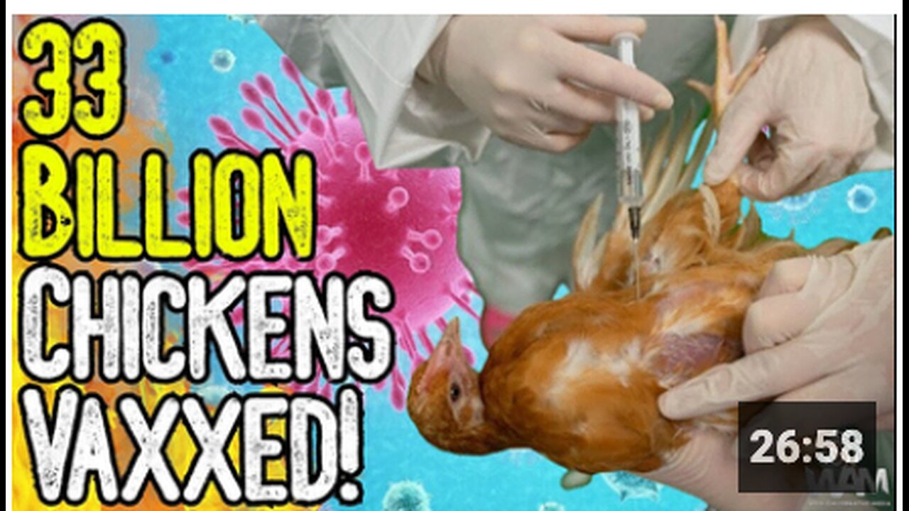 BIRD FLU HOAX: 33 BILLION CHICKENS VAXXED! - Avoid The Pharma Poisoned Food Supply!
