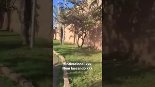 A vida é como está caminho.