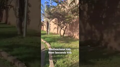 A vida é como está caminho.