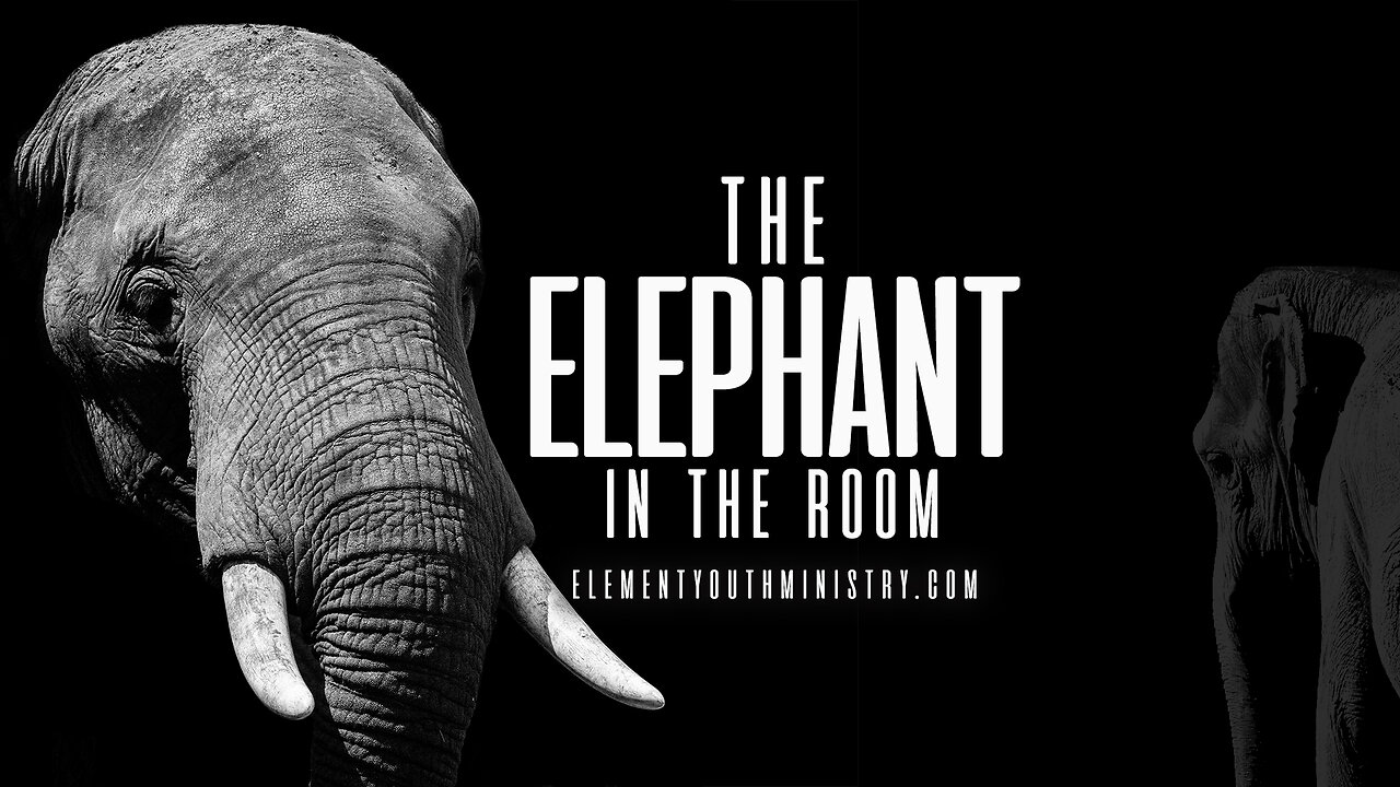 The Elephant In The Room - LGBTQ