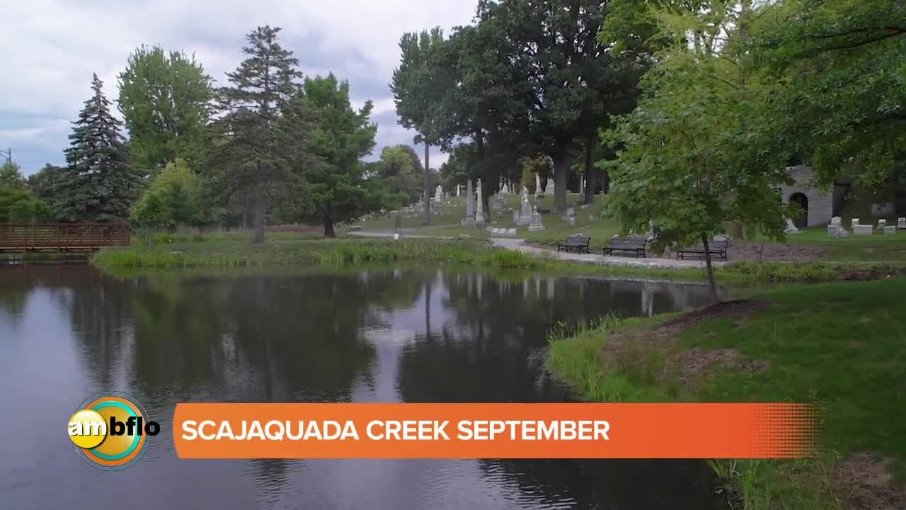 Buffalo Niagara Waterkeeper - Scajaquada September