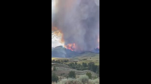 Severe wildfires have broken out in Colorado.