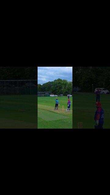 Lord Botham to Launch Cricket into the Metaverse #cryptomash @CoinBureau #viral #Cricket #metaverse