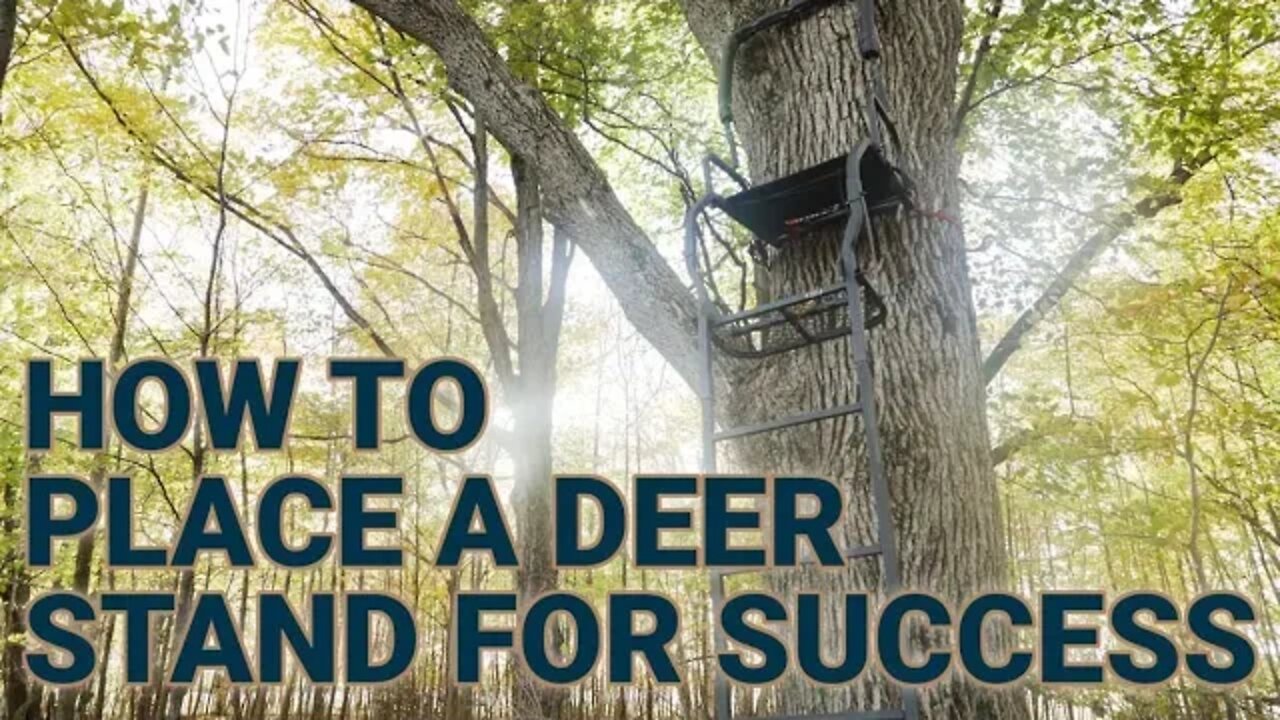 How to Place a Deer Stand for Optimal Success