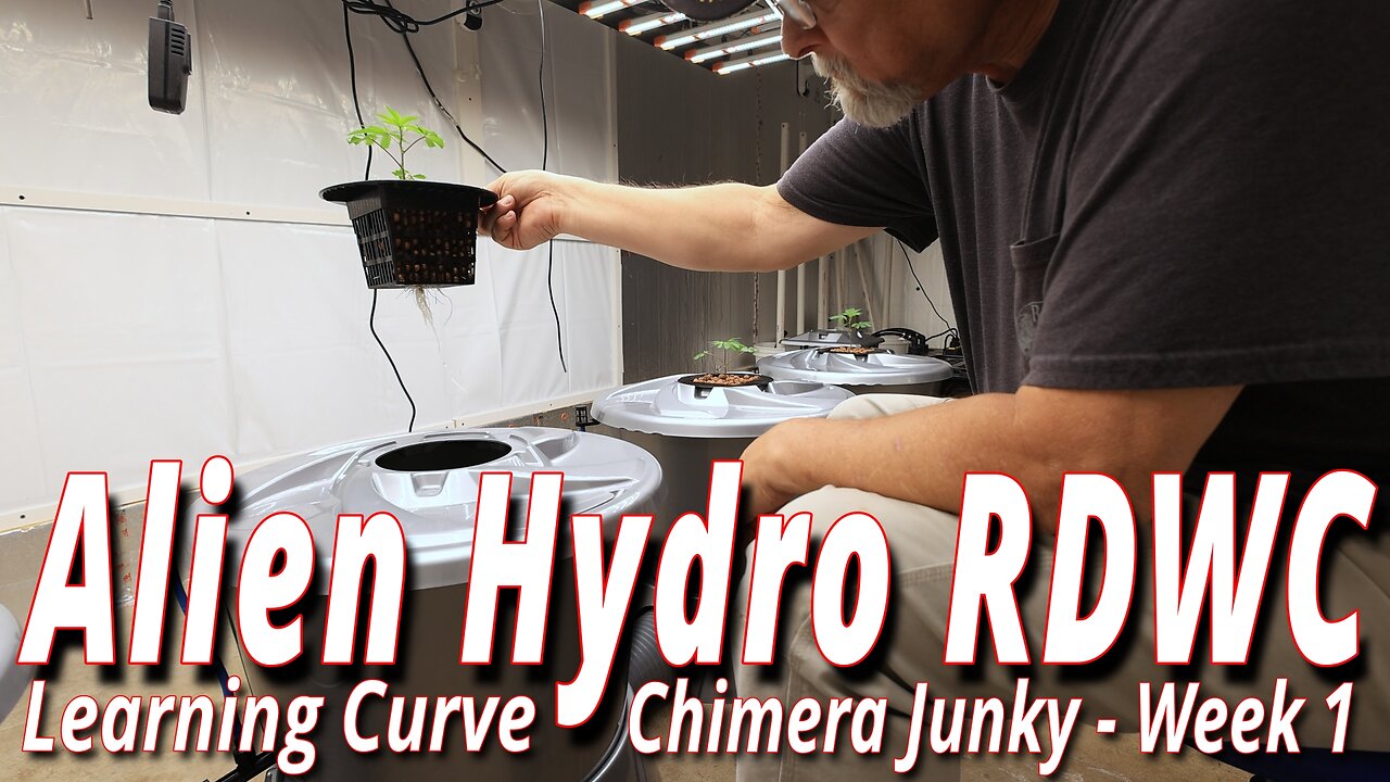 Alien Hydro RDWC Week 1: Spider Farmer SE7000 Full Garden Update