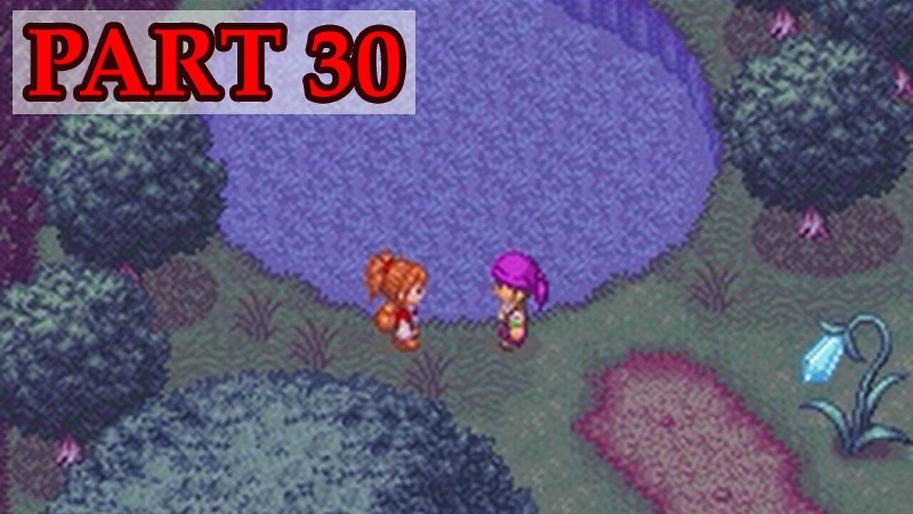 Let's Play - Harvest Moon DS Cute part 30