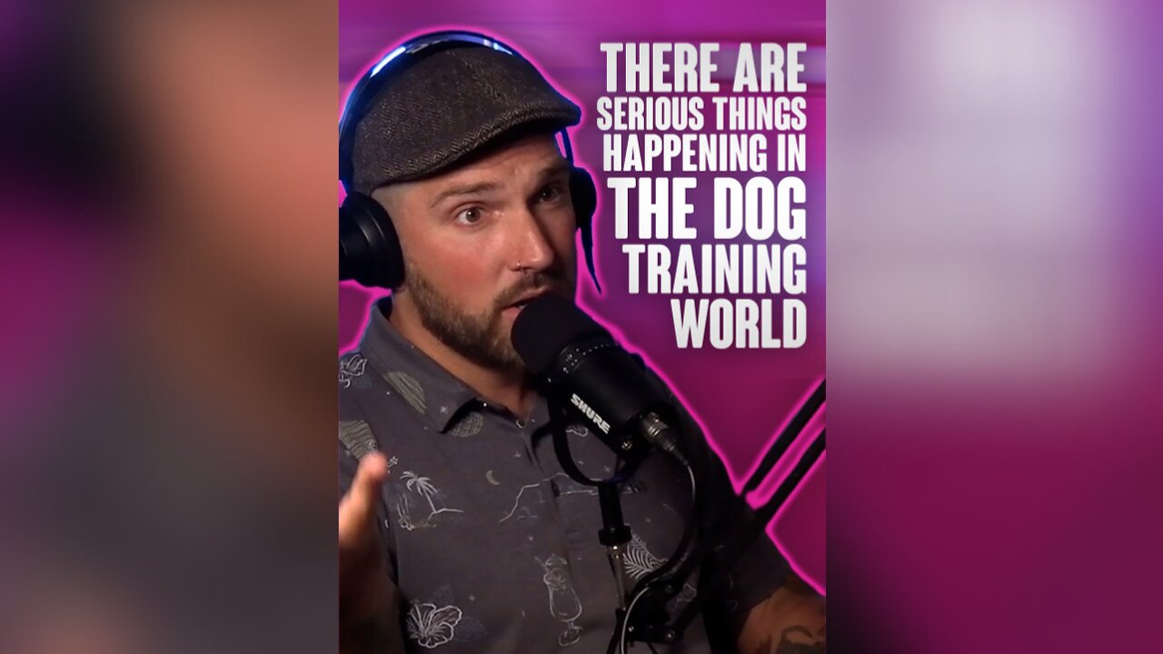 There are SERIOUS things happening in the dog training world