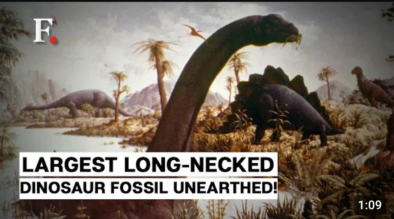 Watch: Argentine Scientists Unearth “One of the Largest” Long-Necked Dinosaur Fossil