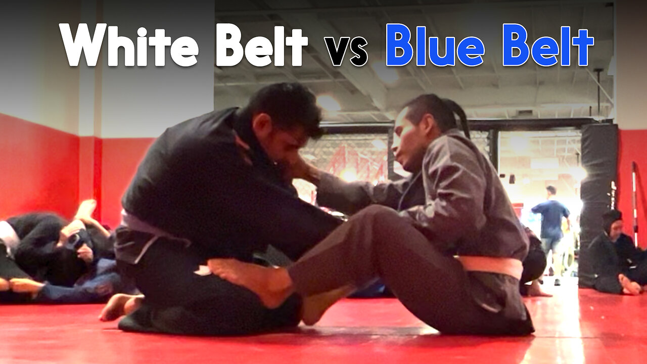 Jiu Jitsu White Belt vs Blue Belt Mando - Circadian MMA (11-01-222)