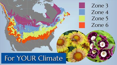 Perennials for Cold Climates Zone 3 +