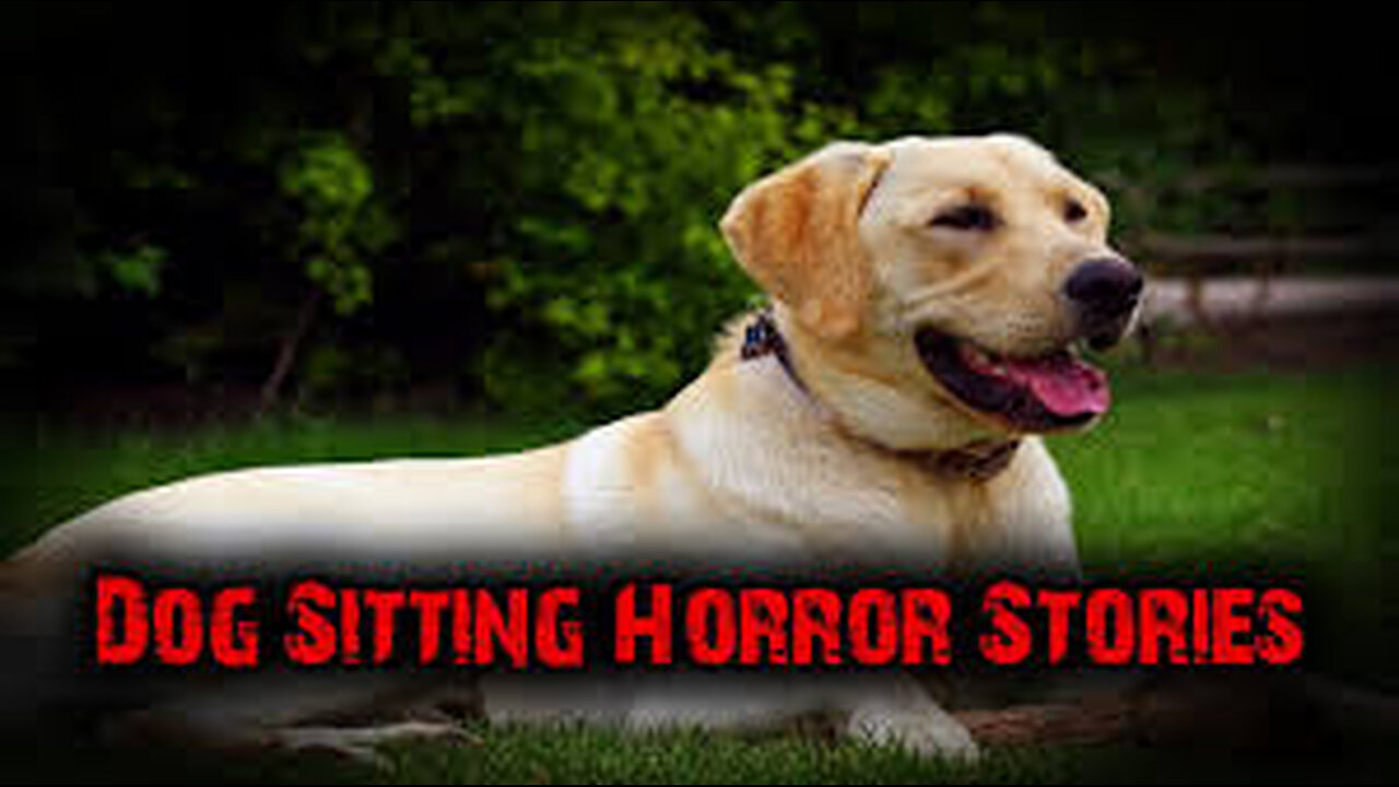 3 Scary True Dog Sitting Horror Stories