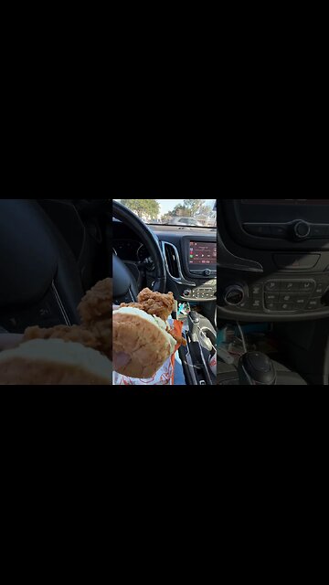 Look at the Size of This Sandwhich