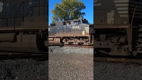 Norfolk Southern BNSF Intermodal Hitting The Diamond #train #asmr #railfan #railway #norfolksouthern