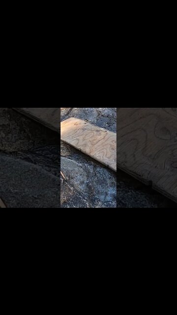 Crashed Drone Again. #drone #dronecrash