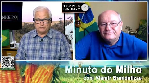 Milho pegando carona no Trigo