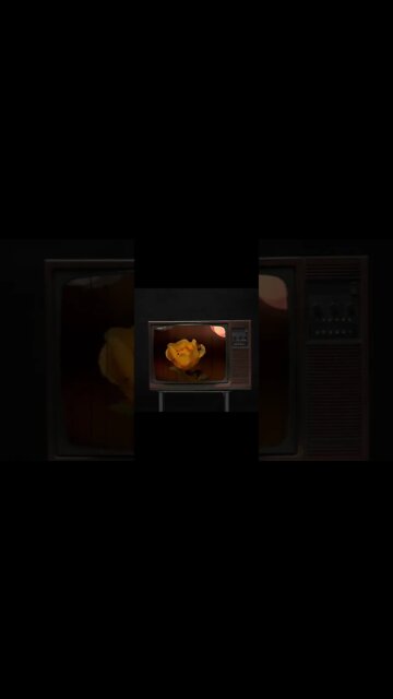 Teaser Video: New Single Out 11-25