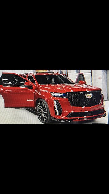 Dad please feed the deer 🦌 or deer’s 😂🤣😂