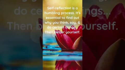 Self-reflection