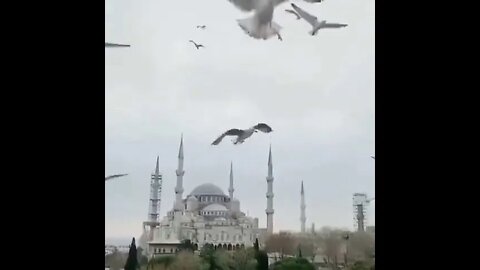 Istanbul Turkey