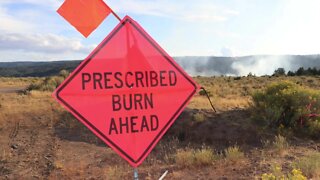 Prescribed burn planned for southwest Idaho aims to diversify landscape