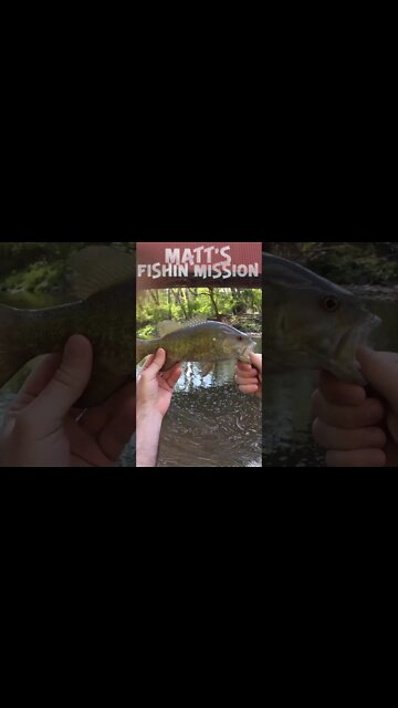 Fishing an historic covered bridge! (short version)