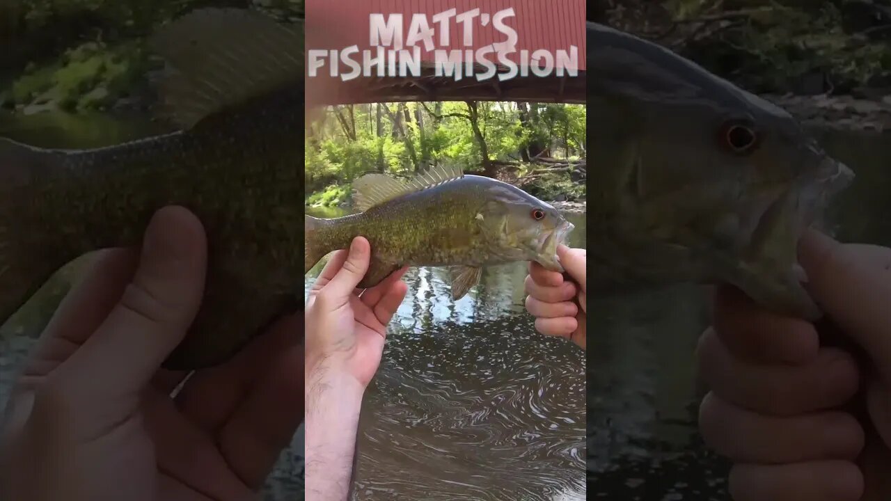 Fishing an historic covered bridge! (short version)