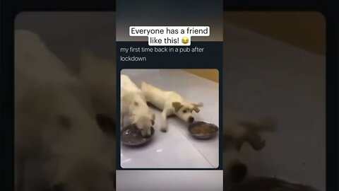 Everyone has a friend like this!