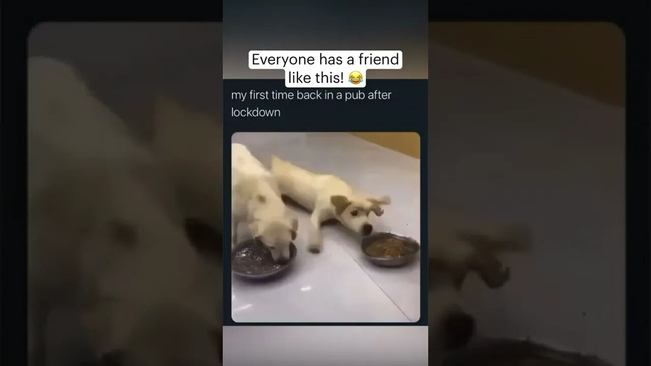 Everyone has a friend like this!