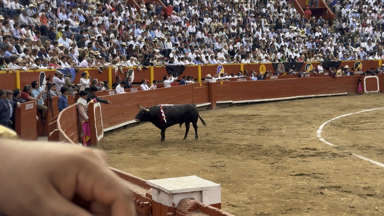 Alfonso de Lima y el primer de su lote