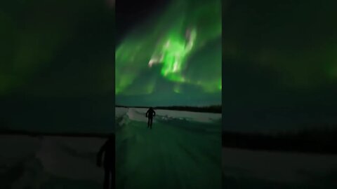 Northern Lights