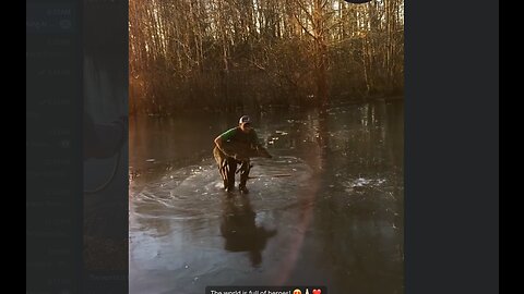Bambi rescue