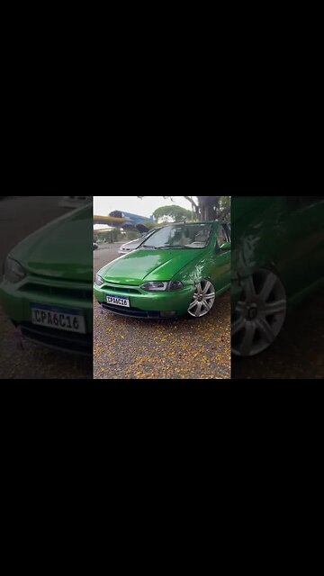 Palio G1 Verde diferenciado D+ #paliog1