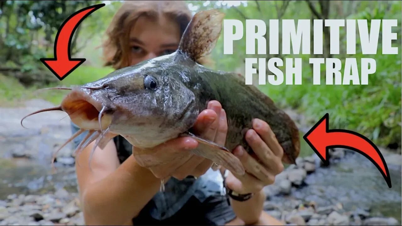 Primitive fish TRAP Survival/Hunting in the WILD!