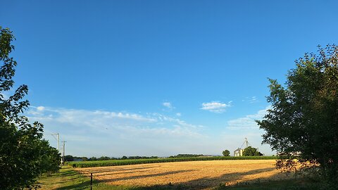 Good Monday Morning!