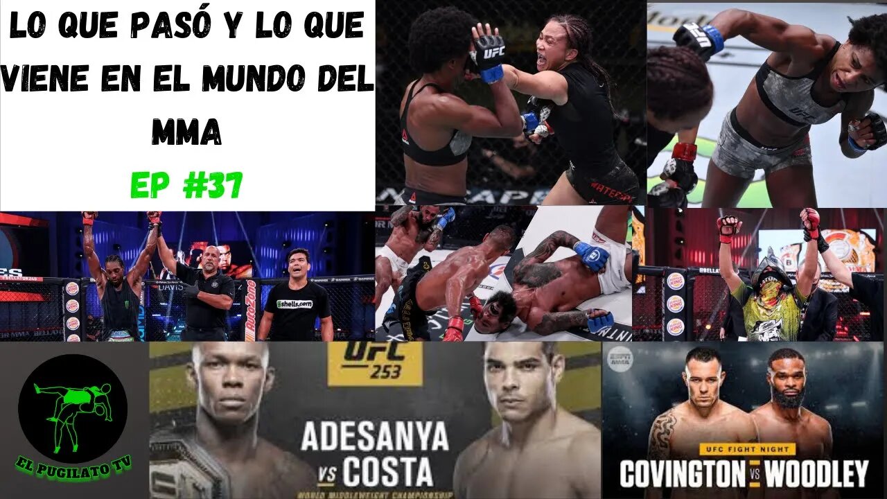 Lo que pasó y lo que viene en el mundo del MMA- EP #37