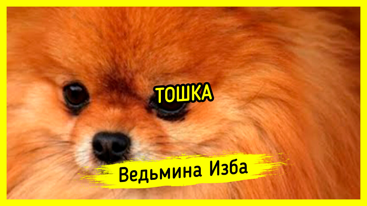 ТОШКА. ВЕДЬМИНА ИЗБА ▶️ ИНГА ХОСРОЕВА