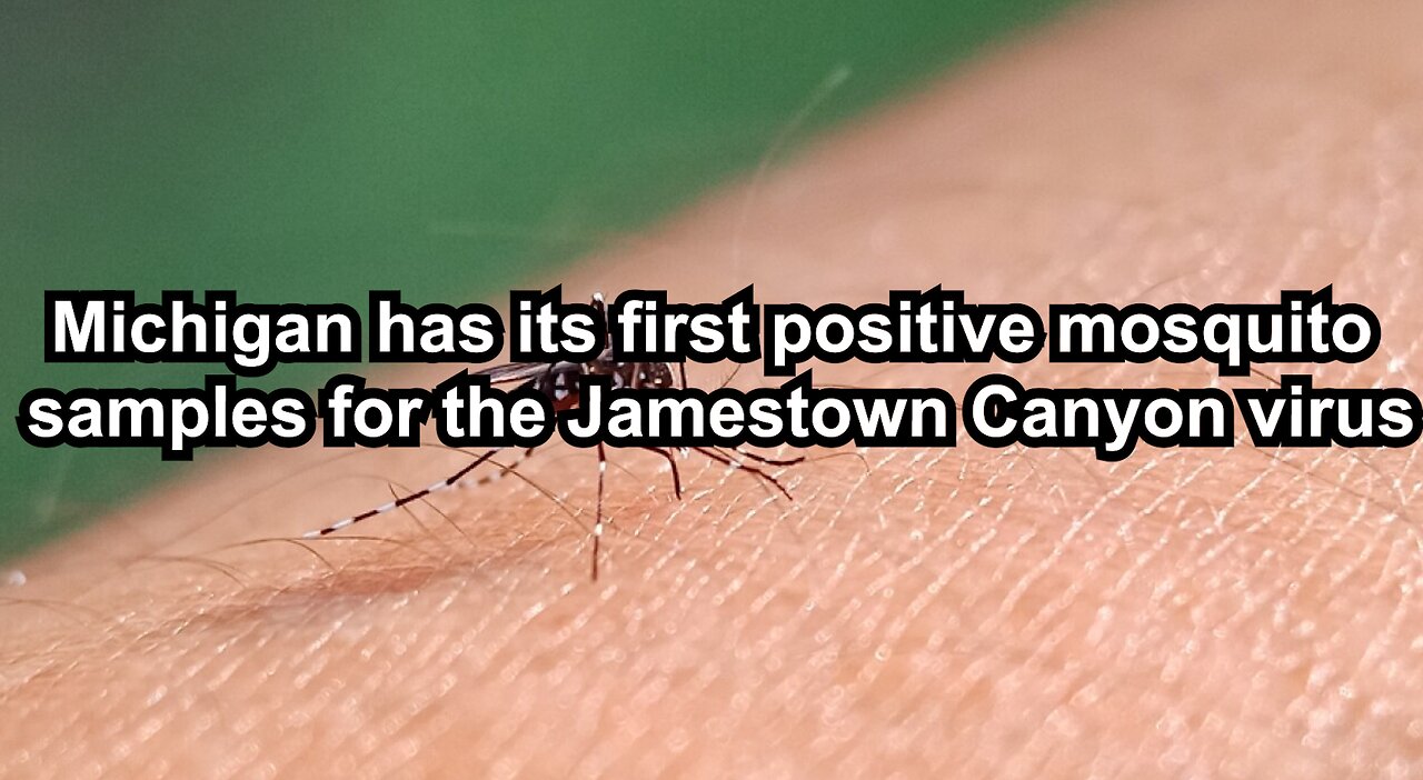 Michigan has its first positive mosquito samples for the Jamestown Canyon virus