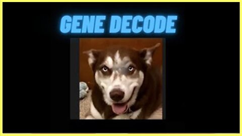 Gene Decode Latest Intel: "THE PLAN TO SAVE THE WORLD"