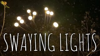 Solar Firefly Yard Lights